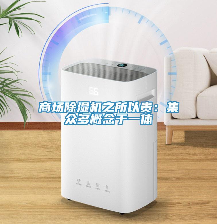 商場草莓污视频在线看之所以貴：集眾多概念於一體