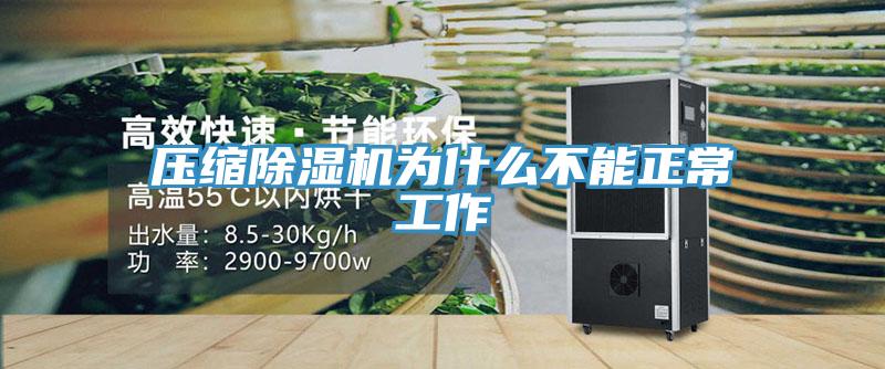 壓縮草莓污视频在线看為什麽不能正常工作