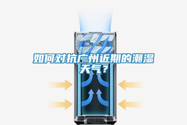 如何對抗廣州近期的潮濕天氣？