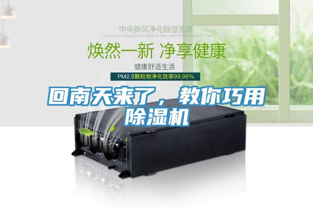 回南天來了，教你巧用草莓污视频在线看