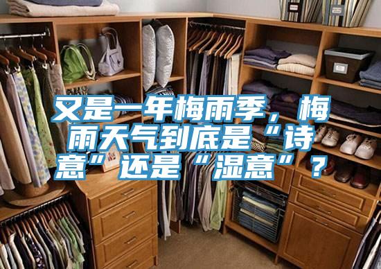 又是一年梅雨季，梅雨天氣到底是“詩意”還是“濕意”？