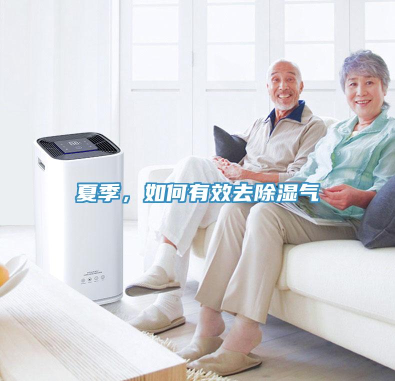 夏季，如何有效去除濕氣