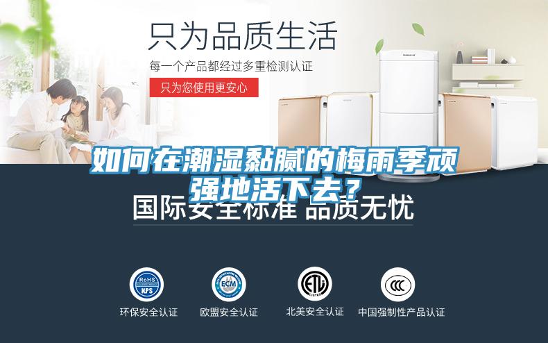 如何在潮濕黏膩的梅雨季頑強地活下去？