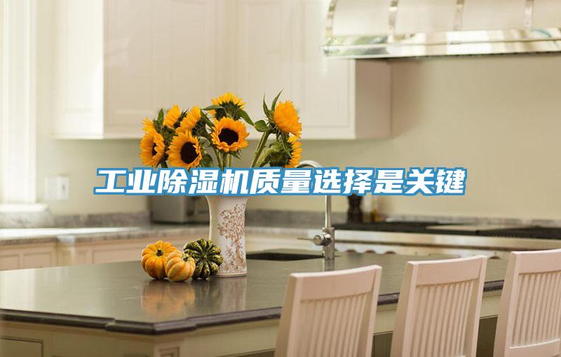 工業草莓污视频在线看質量選擇是關鍵