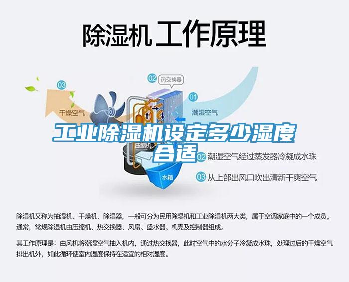 工業草莓污视频在线看設定多少濕度合適