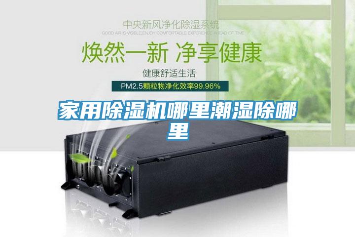 家用草莓污视频在线看哪裏潮濕除哪裏