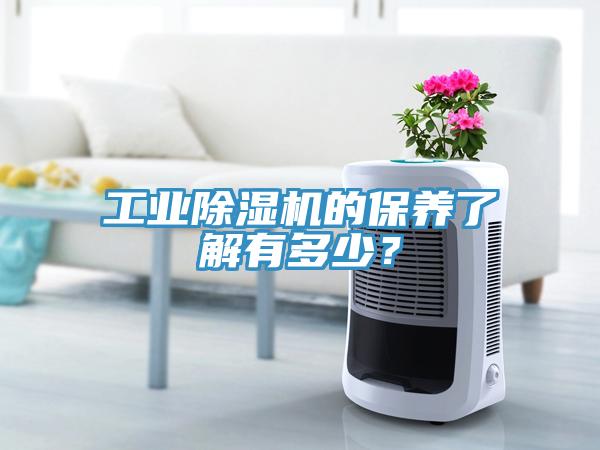 工業草莓污视频在线看的保養了解有多少？