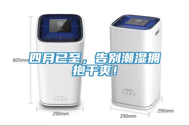 四月已至，告別潮濕擁抱幹爽！