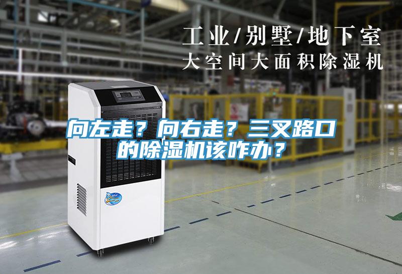 向左走？向右走？三叉路口的草莓污视频在线看該咋辦？