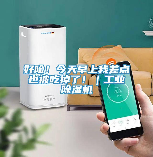 好險！今天早上我差點也被吃掉了！｜工業草莓污视频在线看