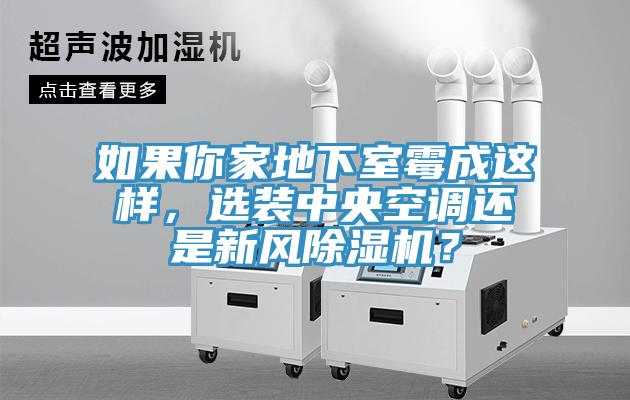 如果你家地下室黴成這樣，選裝中央空調還是新風草莓污视频在线看？