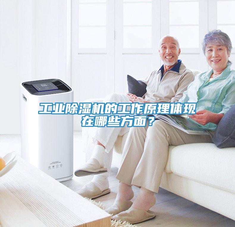 工業草莓污视频在线看的工作原理體現在哪些方麵？
