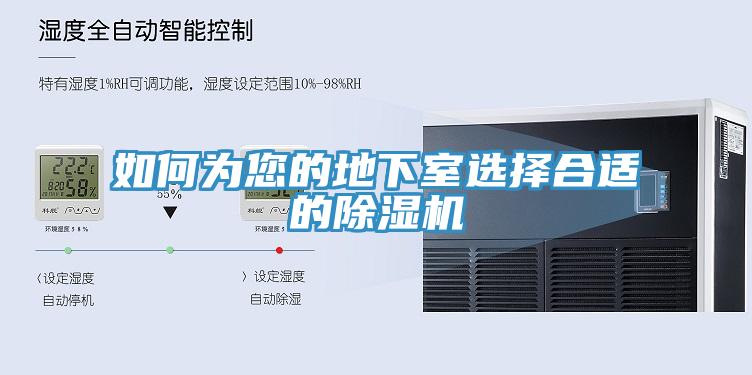 如何為您的地下室選擇合適的草莓污视频在线看