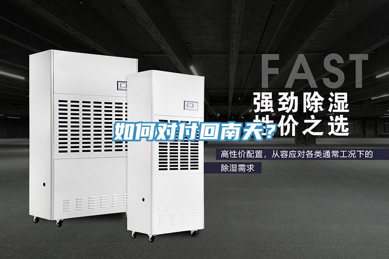 如何對付回南天？