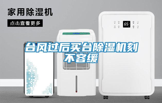 台風過後買台草莓污视频在线看刻不容緩