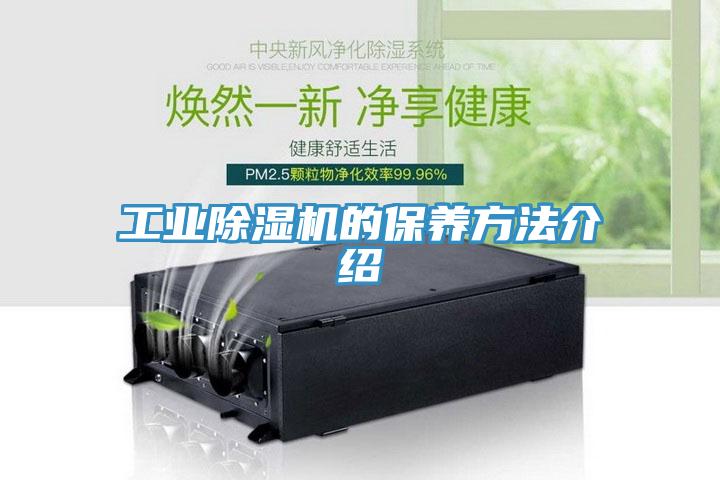 工業草莓污视频在线看的保養方法介紹