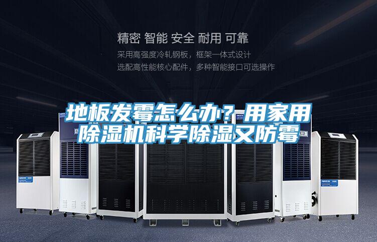 地板發黴怎麽辦？用家用草莓污视频在线看科學除濕又防黴