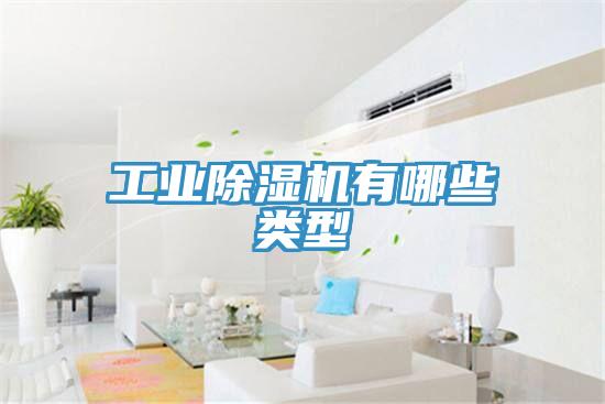 工業草莓污视频在线看有哪些類型