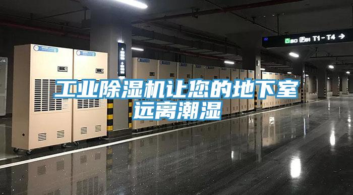 工業草莓污视频在线看讓您的地下室遠離潮濕