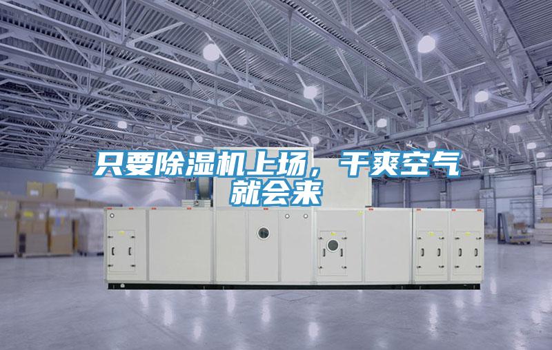 隻要草莓污视频在线看上場，幹爽空氣就會來