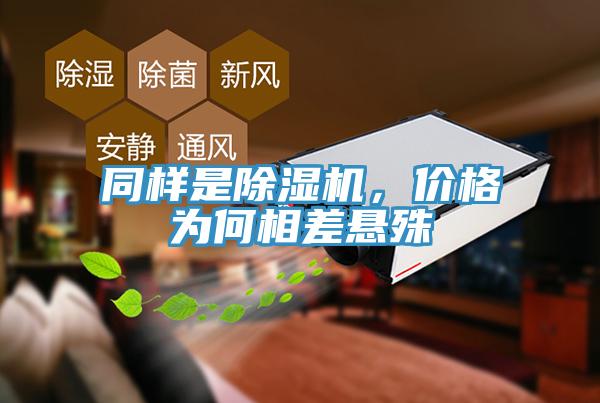 同樣是草莓污视频在线看，價格為何相差懸殊