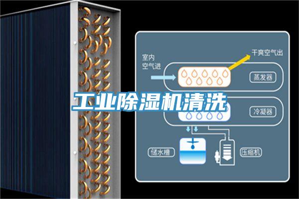 工業草莓污视频在线看清洗