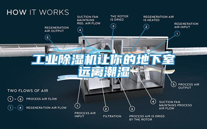 工業草莓污视频在线看讓你的地下室遠離潮濕
