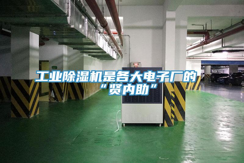 工業草莓污视频在线看是各大電子廠的“賢內助”