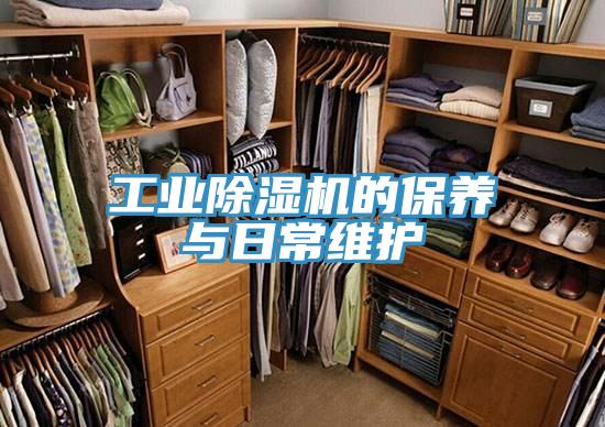工業草莓污视频在线看的保養與日常維護