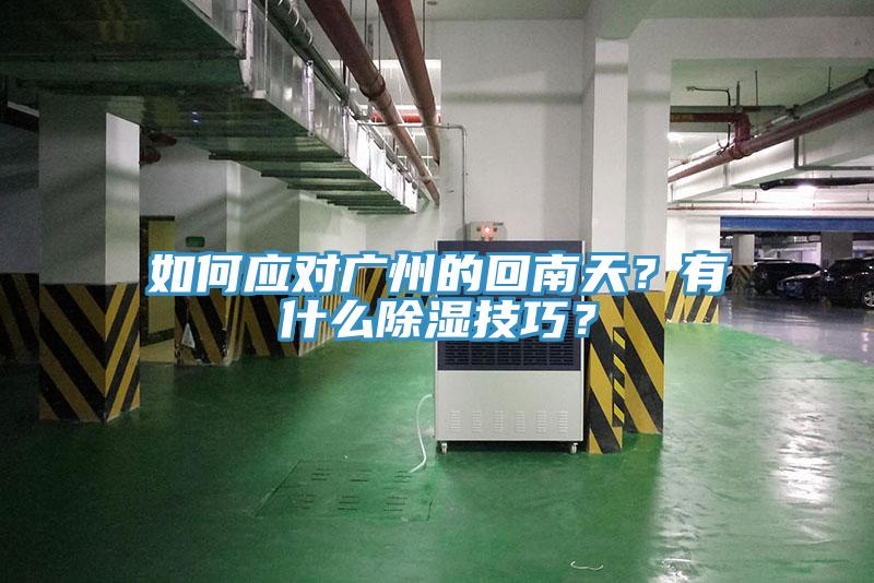 如何應對廣州的回南天？有什麽除濕技巧？