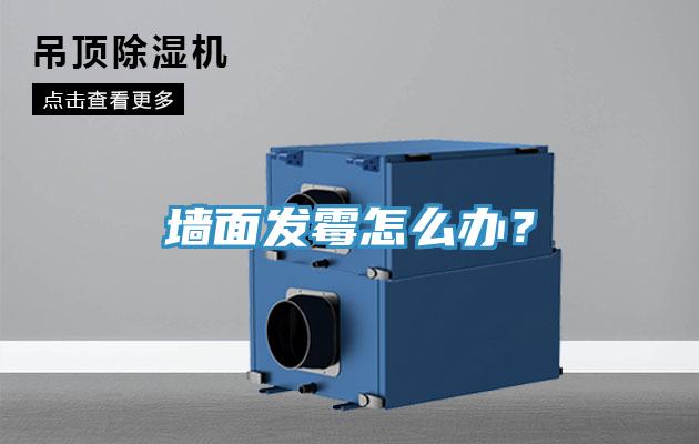 牆麵發黴怎麽辦？