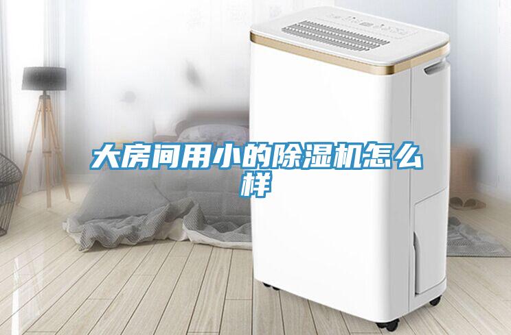 大房間用小的草莓污视频在线看怎麽樣