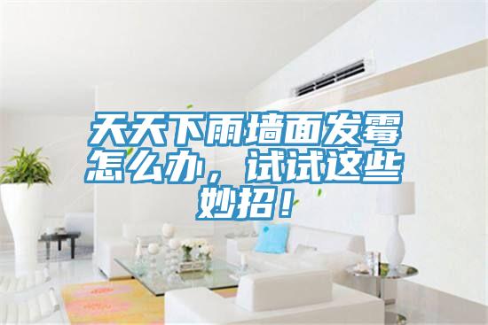 天天下雨牆麵發黴怎麽辦，試試這些妙招！