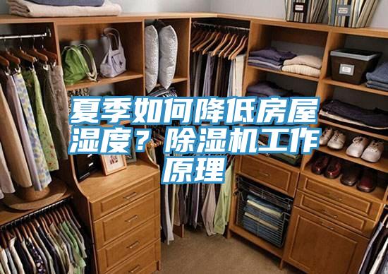 夏季如何降低房屋濕度？草莓污视频在线看工作原理