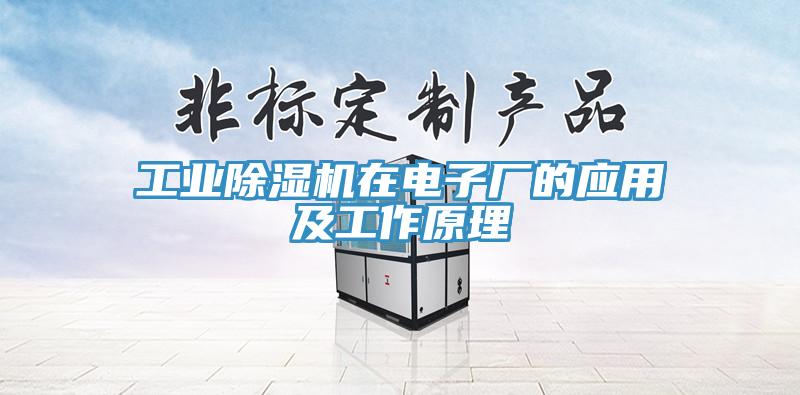 工業草莓污视频在线看在電子廠的應用及工作原理