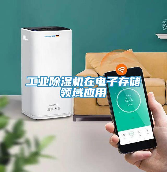 工業草莓污视频在线看在電子存儲領域應用