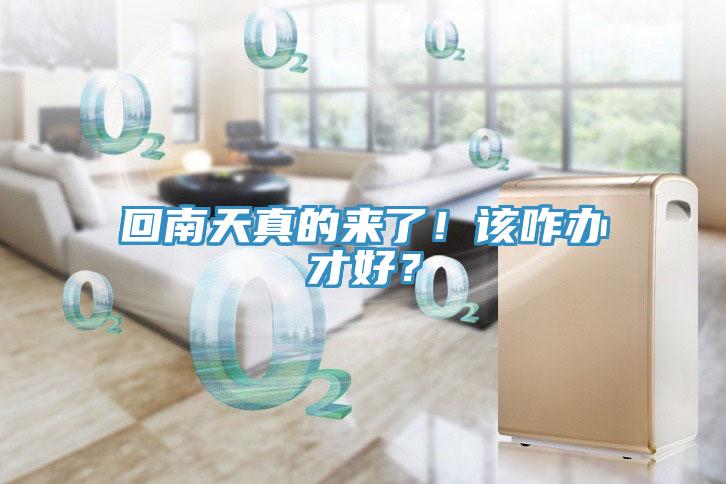 回南天真的來了！該咋辦才好？