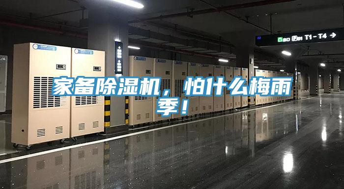 家備草莓污视频在线看，怕什麽梅雨季！