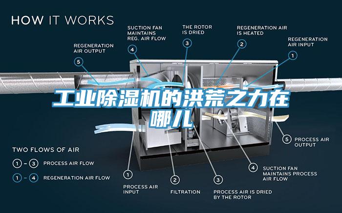 工業草莓污视频在线看的洪荒之力在哪兒