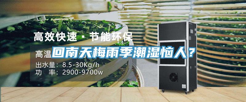 回南天梅雨季潮濕惱人？