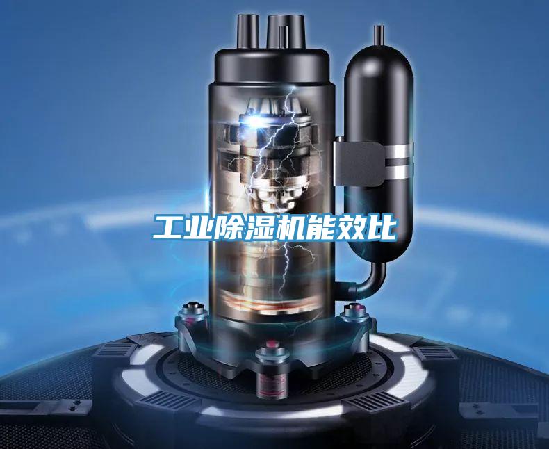 工業草莓污视频在线看能效比