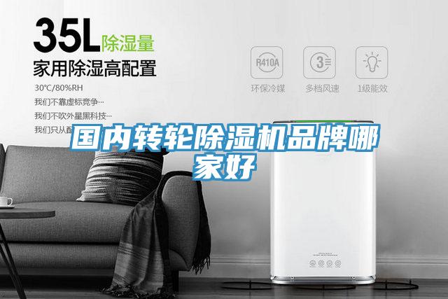 國內轉輪草莓污视频在线看品牌哪家好