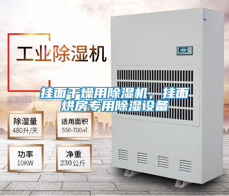掛麵幹燥用草莓污视频在线看，掛麵烘房專用除濕設備