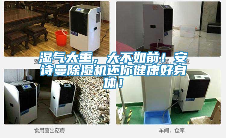 濕氣太重，大不如前！草莓视频性福宝草莓污视频在线看還你健康好身體！