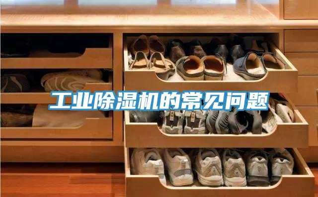工業草莓污视频在线看的常見問題