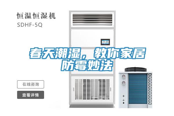 春天潮濕，教你家居防黴妙法