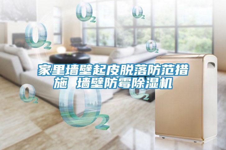 家裏牆壁起皮脫落防範措施 牆壁防黴草莓污视频在线看