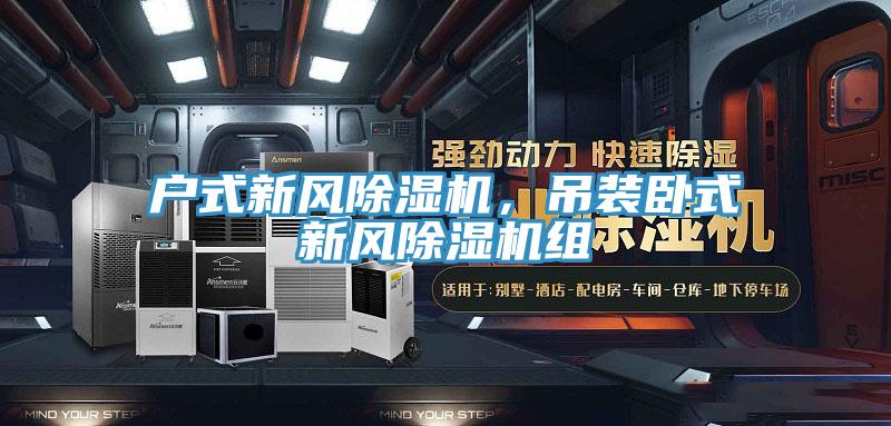 戶式新風草莓污视频在线看，吊裝臥式新風草莓污视频在线看組