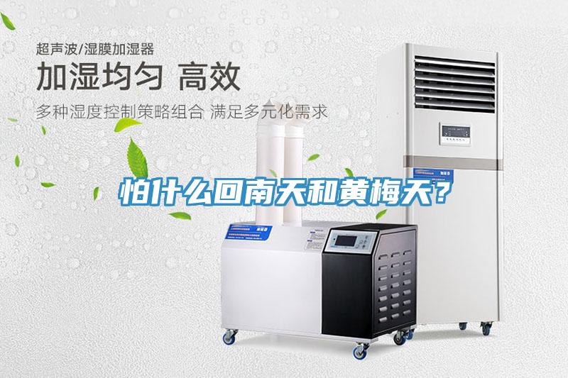 怕什麽回南天和黃梅天？