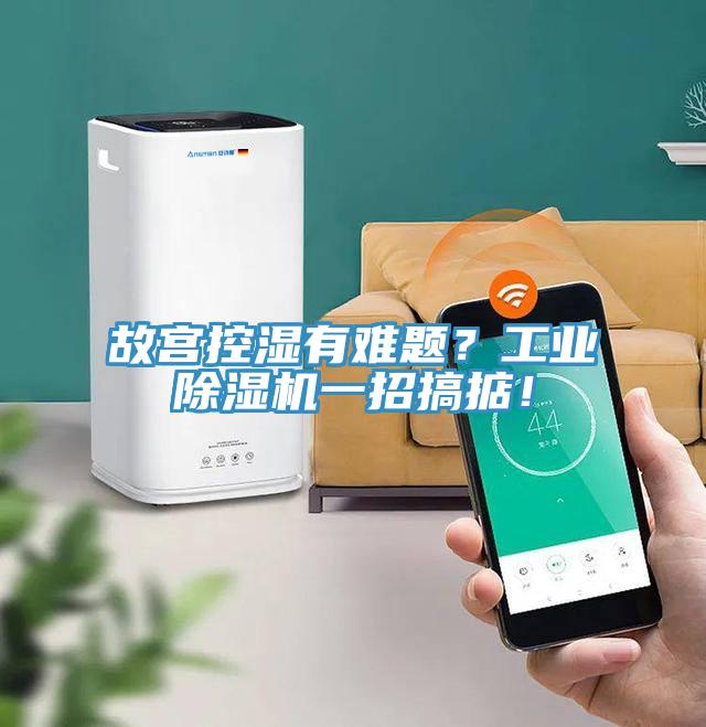 故宮控濕有難題？工業草莓污视频在线看一招搞掂！